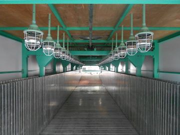 Fleksibel kasur busa lini produksi dengan PLC Control, 50Kg / m³